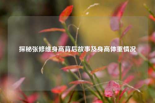 探秘张修维身高背后故事及身高体重情况
