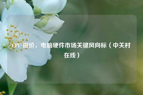 CPU 报价,电脑硬件市场关键风向标(中关村在线)