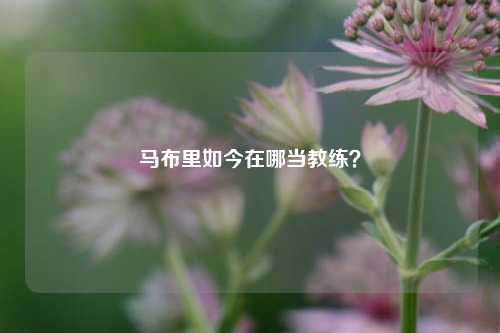 马布里如今在哪当教练?