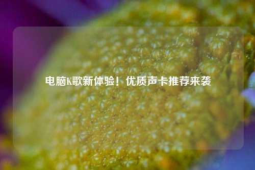 电脑K歌新体验!优质声卡推荐来袭