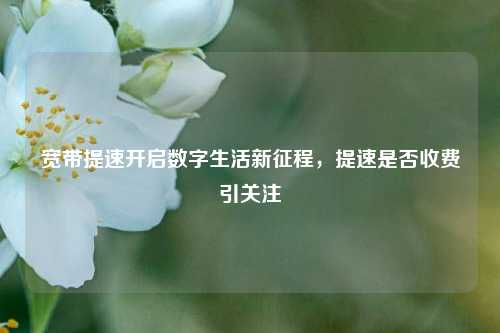 宽带提速开启数字生活新征程,提速是否收费引关注