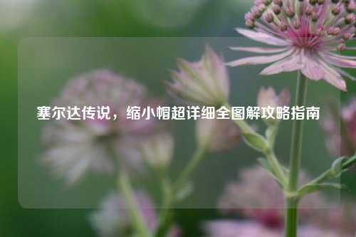 塞尔达传说,缩小帽超详细全图解攻略指南