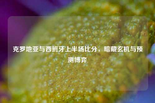 克罗地亚与西班牙上半场比分,暗藏玄机与预测博弈