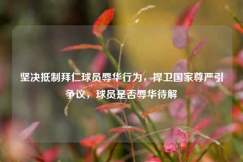 坚决 拜仁球员辱华行为,捍卫国家尊严引争议,球员是否辱华待解