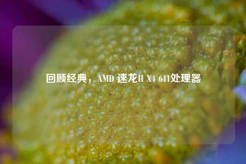 回顾经典,AMD 速龙II X4 641处理器