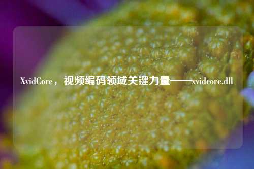 XvidCore,视频编码领域关键力量——xvidcore.dll