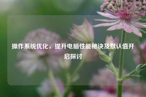 操作系统优化,提升电脑性能秘诀及默认值开启探讨
