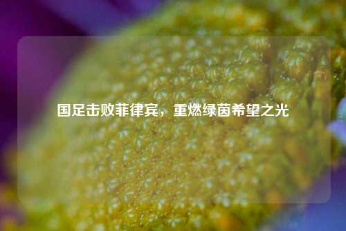 国足击败菲律宾,重燃绿茵希望之光